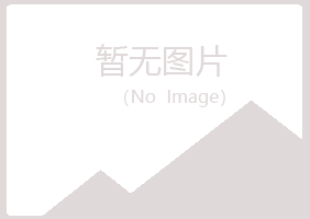 宁夏夏岚化学有限公司